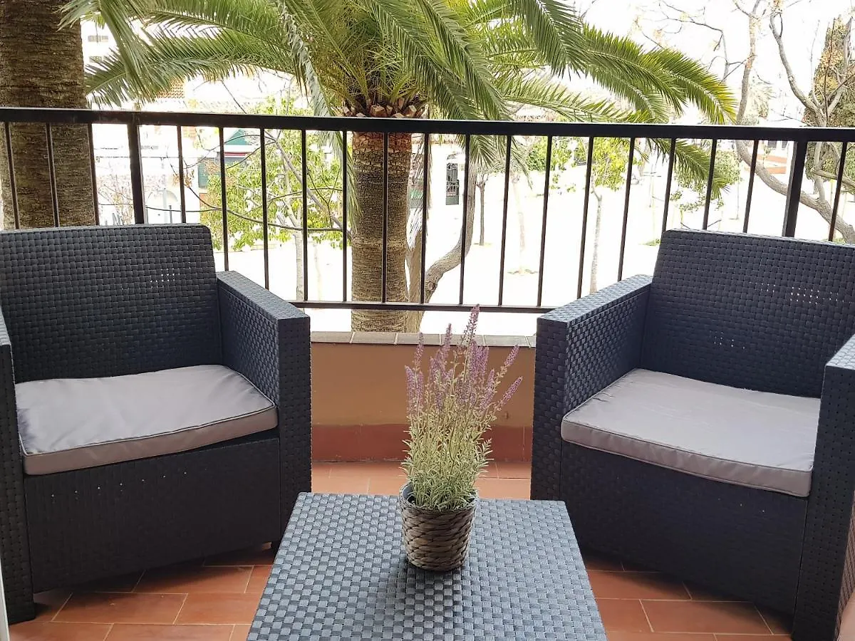 Acogedor Apartamento A 100 Metros De La Playa Apartment Palma Nova  0*, Palma Nova (Mallorca)